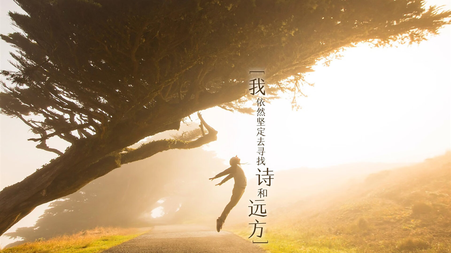 “智慧场馆：全场监测、沉浸体验和智能交互体系成为行业新宠”