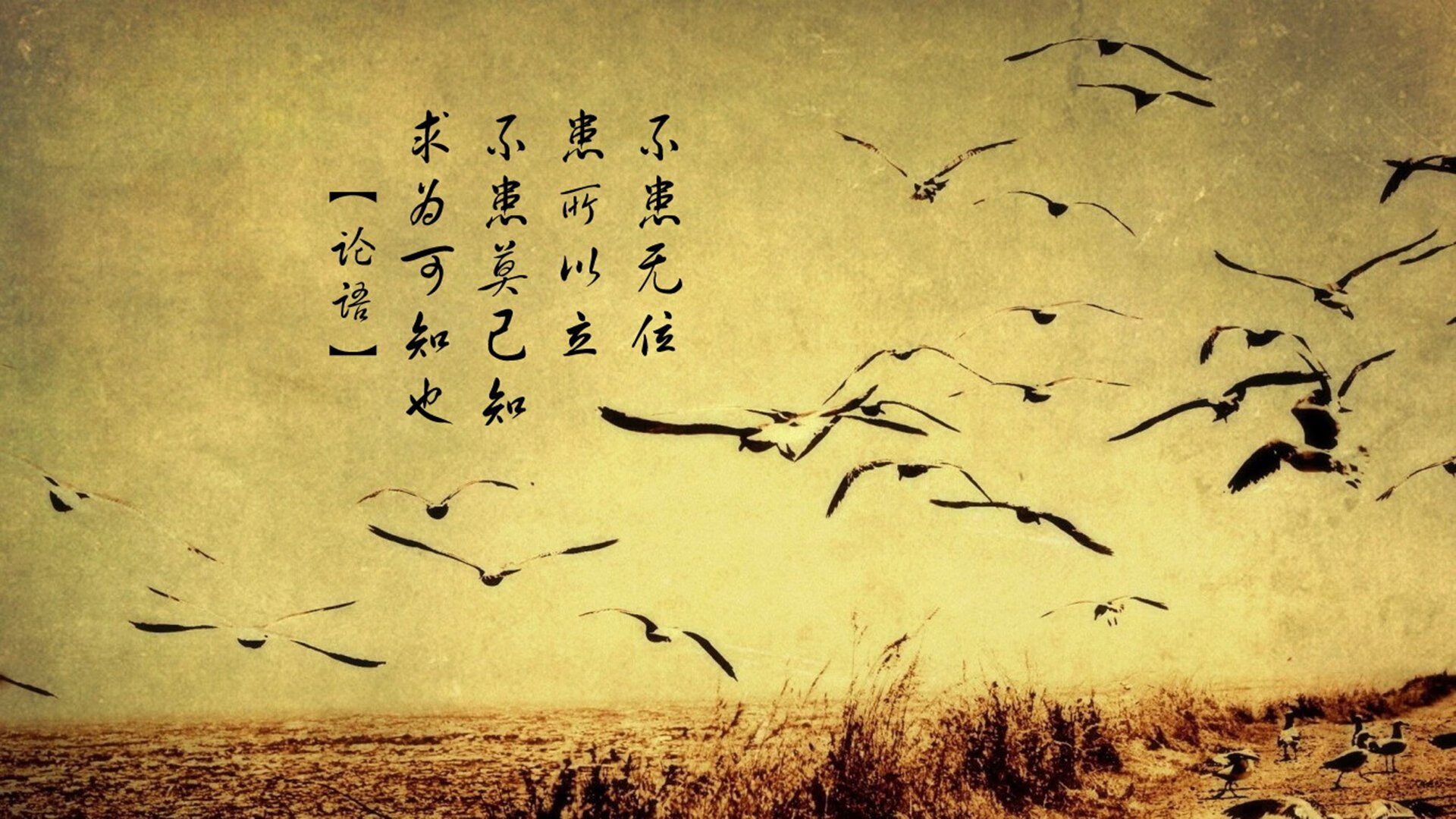 中国篮球明星积极参与运动公益，助力贫困地区孩子梦想，篮球明星中国行