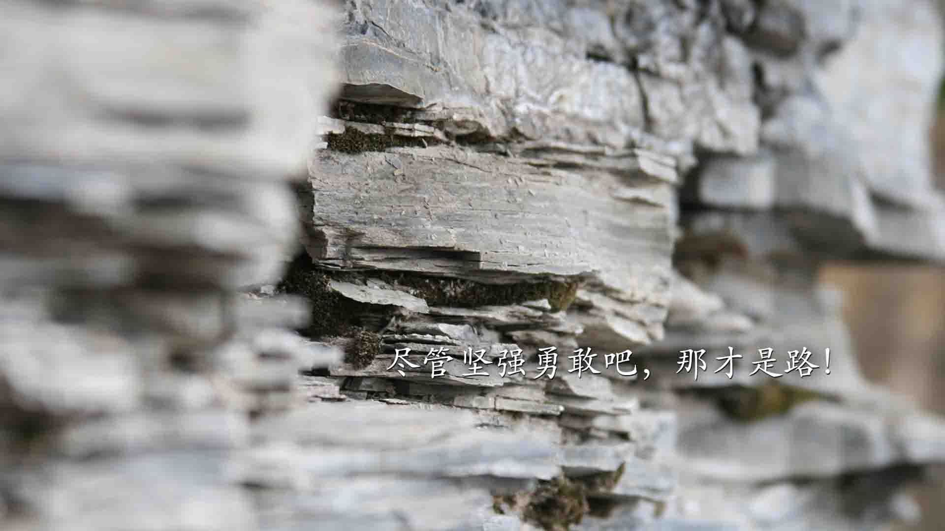 CBA球队球员心理素质培养，cba球员日常生活