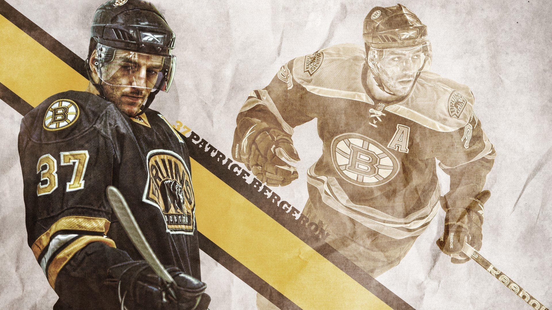 “绿色生态场馆+智能管理”成为行业新标配，行业基础更牢固，绿色生态长廊什么意思